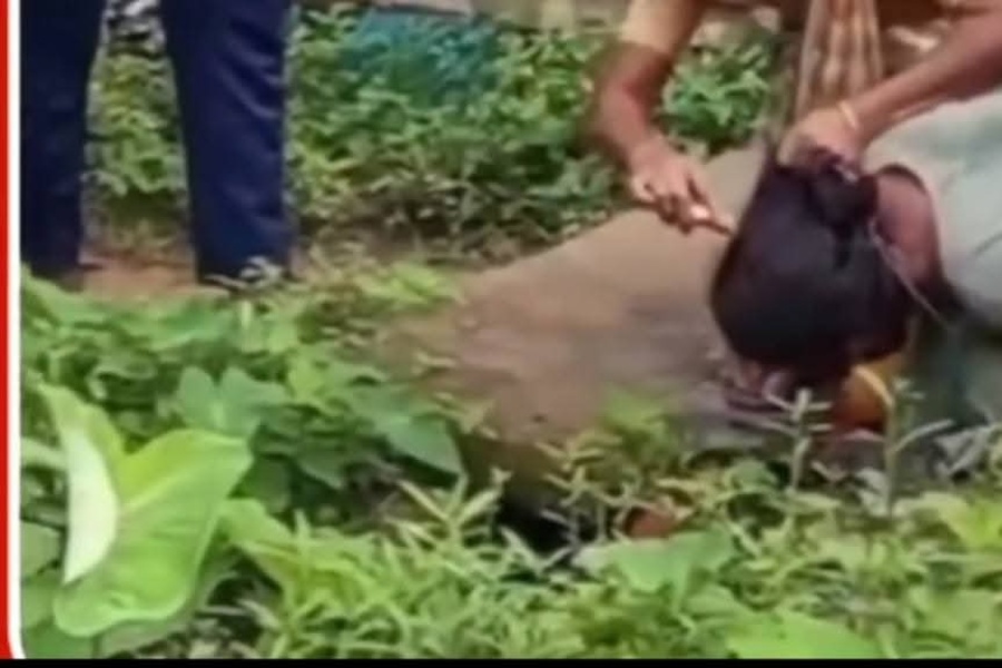 Woman Tied, Hair Chopped Off in Publi...