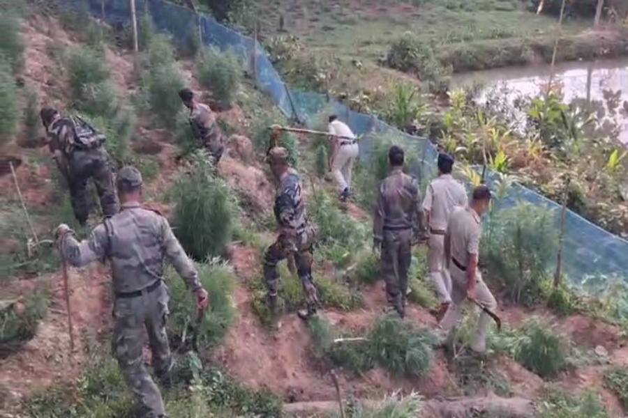 Ninth Success for Jatrapur Police in Tripura’s Anti-Drug Drive