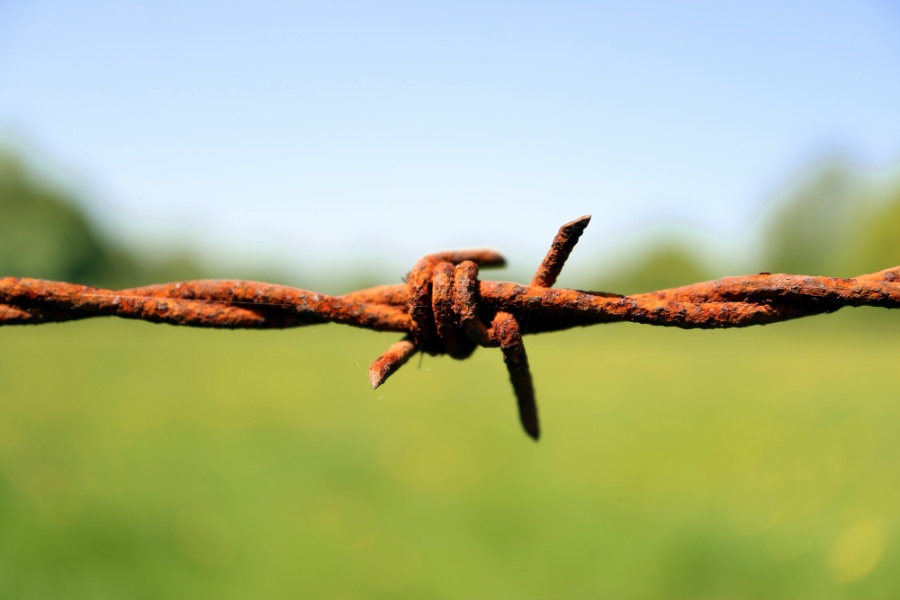 Border Fencing Progress in Tripura: 805.99 Km Completed, Several Stretches Still Pending