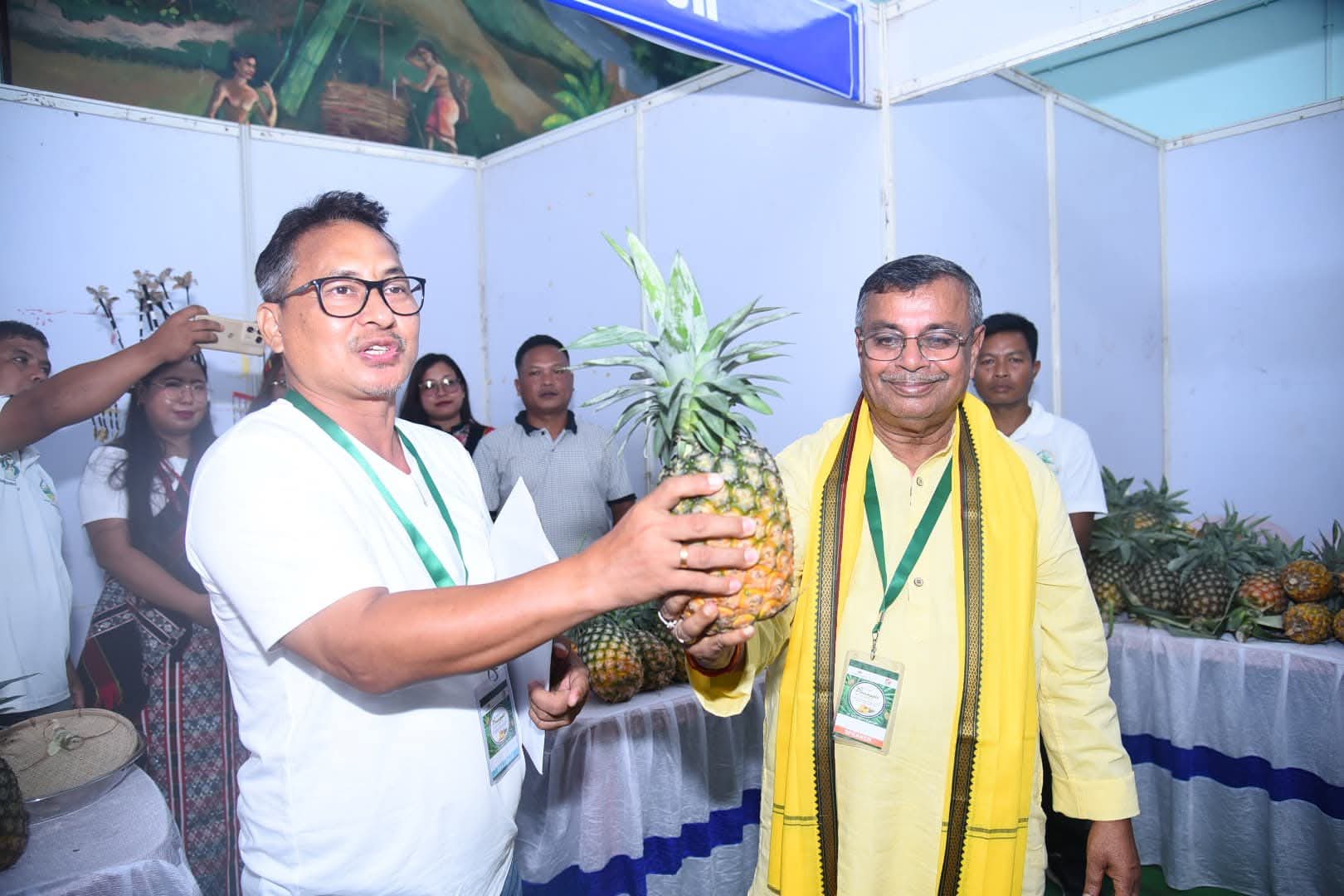 DoNER likely to launch project worth Rs 132-Crore to make queen pineapple a global brand: Ratan Lal Nath