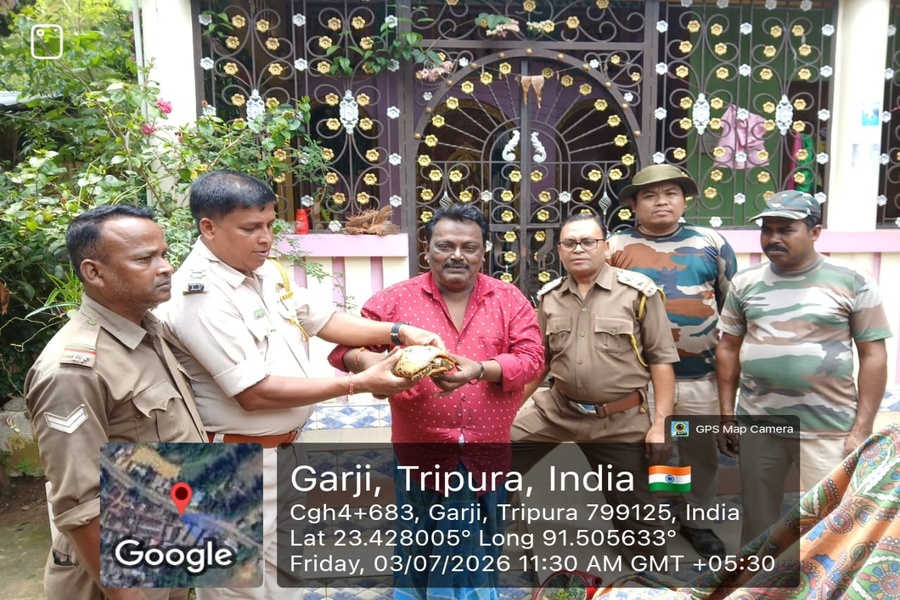 Endangered Elongated Tortoise Rescued...