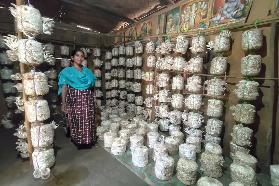 From Determination to Prosperity: Purnima Roy Emerges as a Lakhpati Didi in Tripura