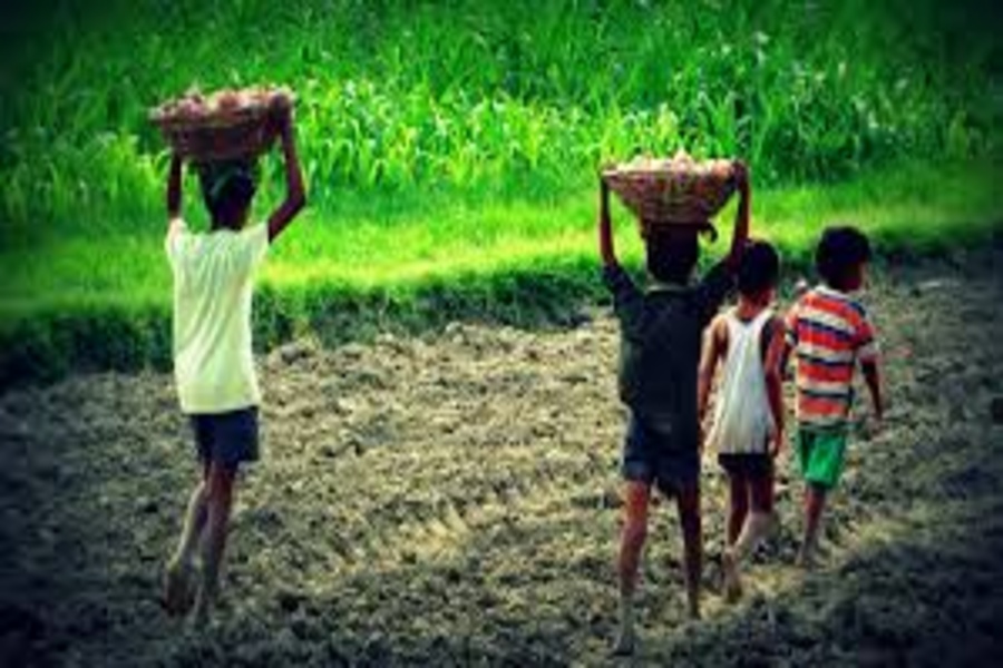 Joint Raid Against Child Labour in Agartala, Four Children Rescued