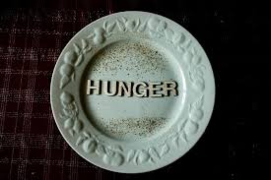 India Partners with World Food Programme to Fight Global Hunger