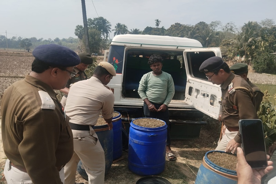 Major Anti-Drug Crackdown in Tripura: Over 900 Kg Ganja Seized, Six Arrested