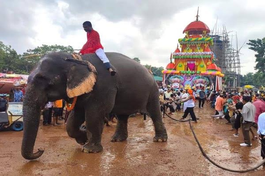 Nine-Day Traditional Melaghar Rath Yatra Festival to Begin on July 15; CM to inaugurate