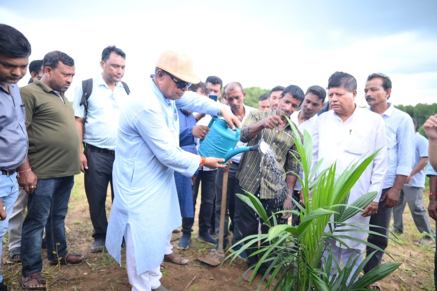 One-stop centers for oil palm farmers soon: Tripura Minister