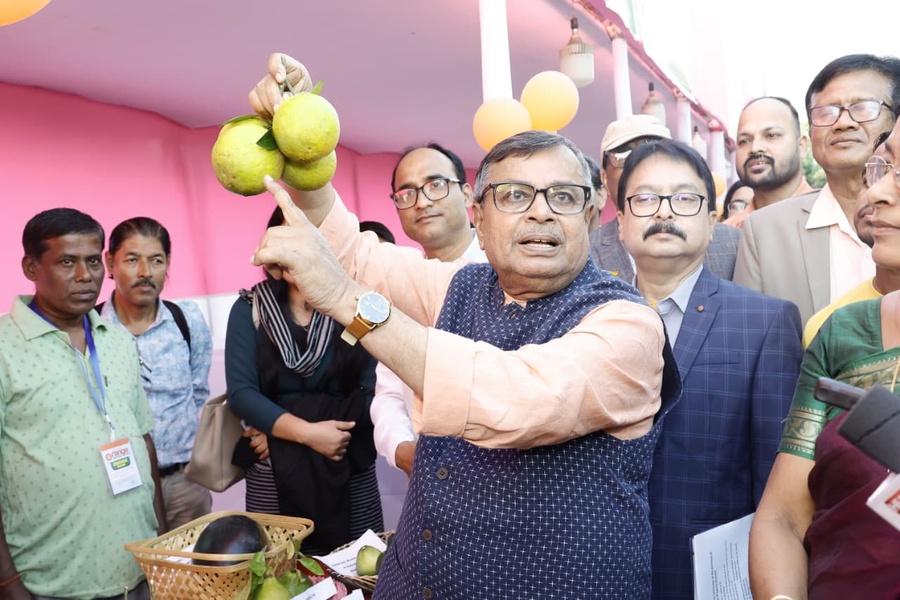 Orange Cultivation Expands to 3,846 Hectares in Tripura: Minister