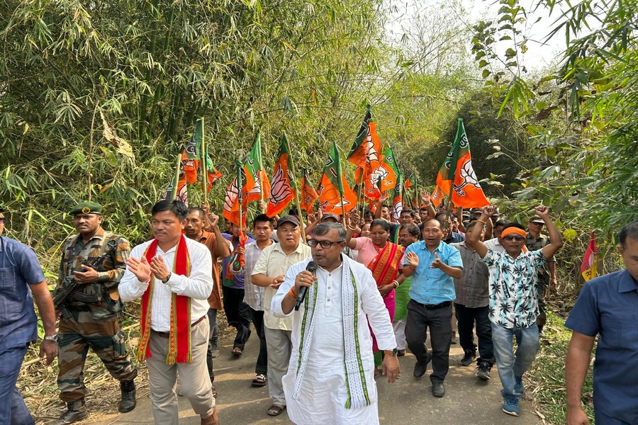 Regional parties don’t last long as they fail to deliver development: Power Minister