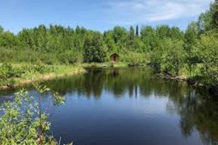 Rs 32 Lakh Pond Renovation Project in Unakoti Faces Allegations of Irregularities