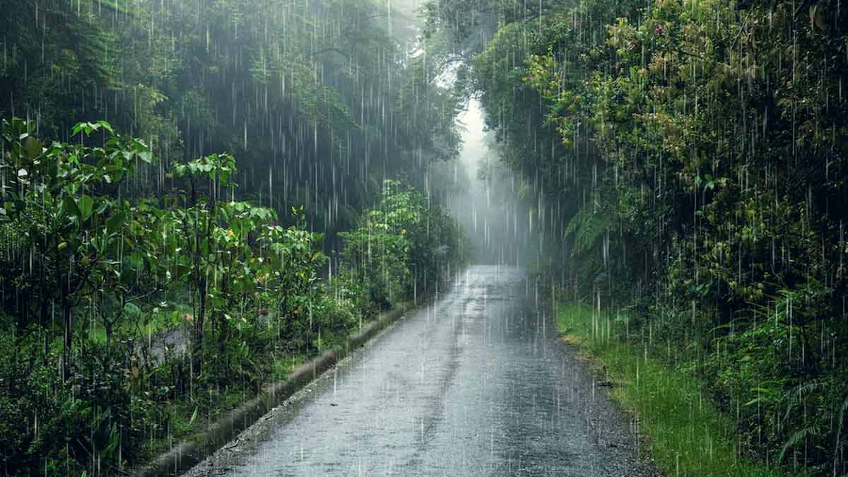 Southwest monsoon arrives in Tripura, brings widespread rainfall