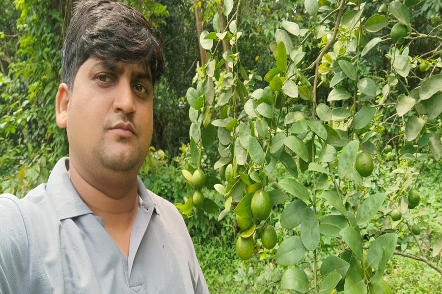 Teacher-Turned-Entrepreneur Achieves Success in Lemon Farming in Tripura
