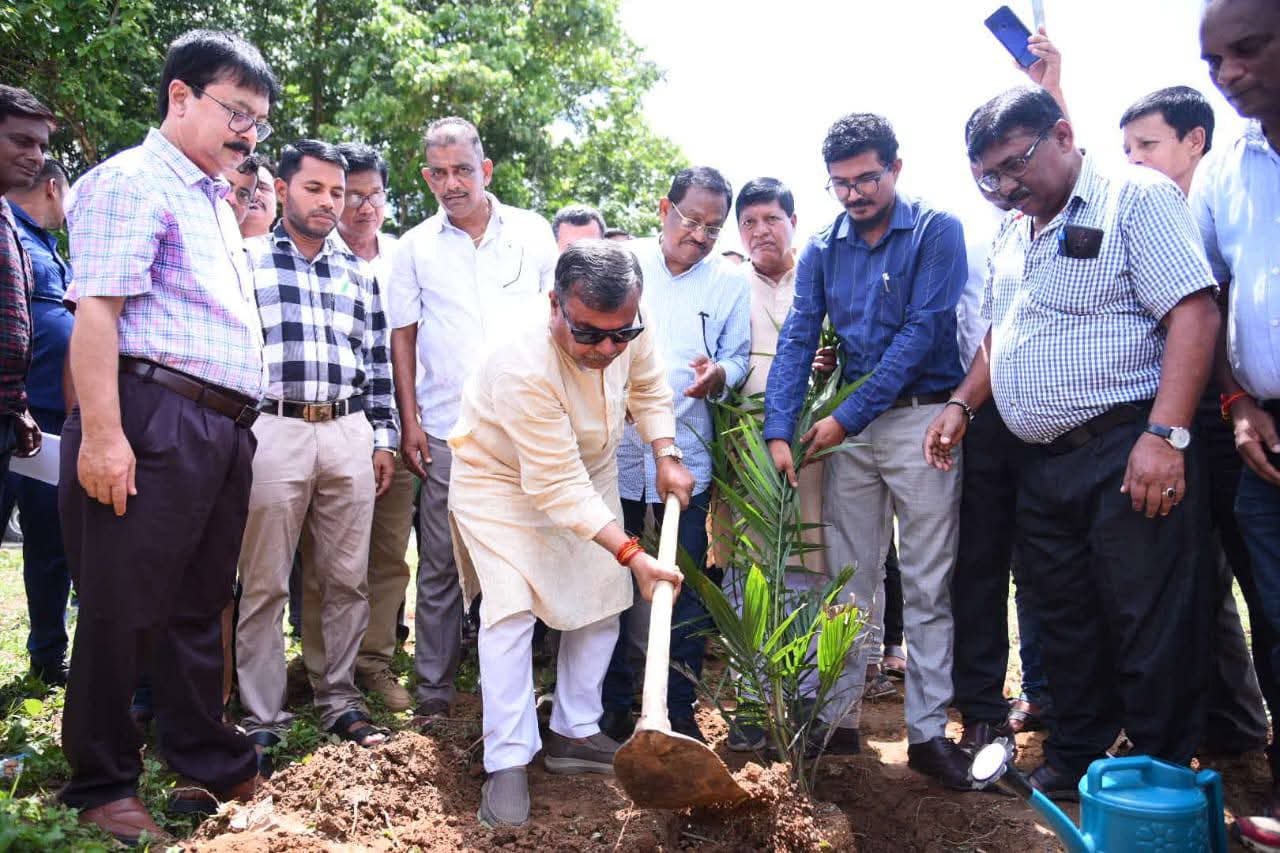 Tripura achieves 4,000 ha in oil palm cultivation, one more processing unit soon