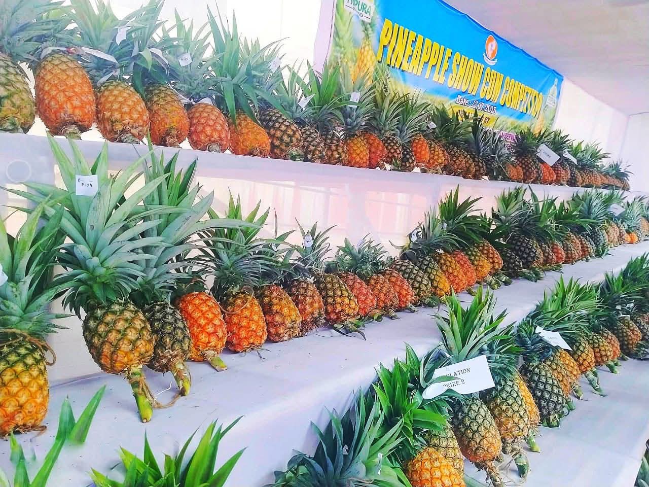 Tripura exported 73.15 MT pineapple n Gulf countries: Minister