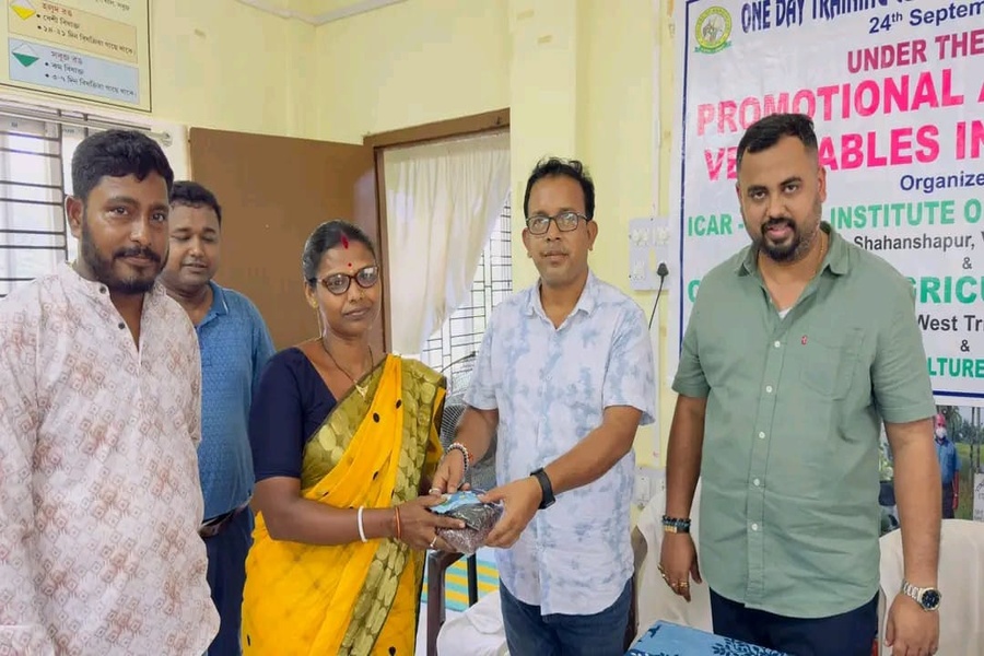 Tripura Pushes Onion Cultivation to Boost Farmer Income in Sepahijala