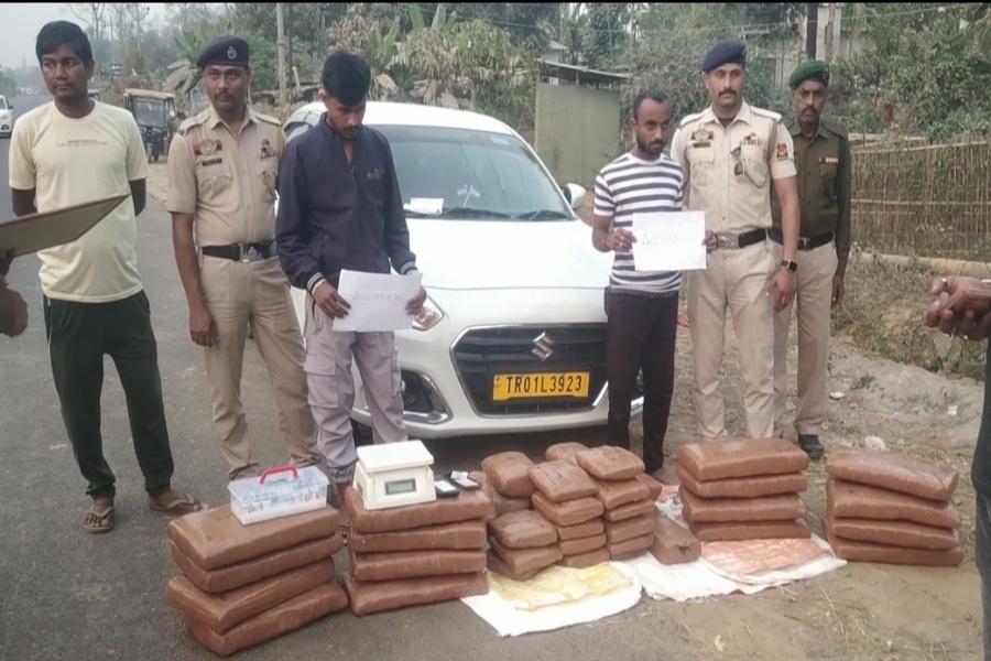 Two held in Tripura with cannabis worth Rs 10 lakh