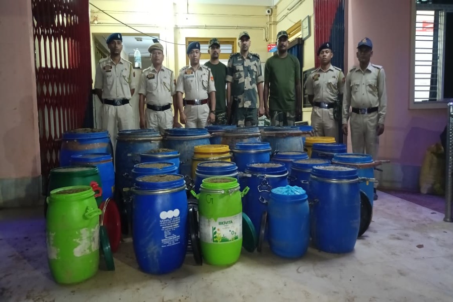 Ganja Worth Over Rs 15 Crore Seized in Joint Operation at Sonamura
