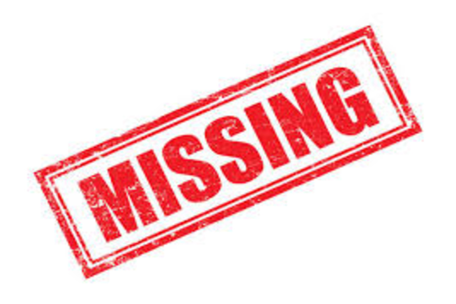 Young Mother and Child Go Missing While Travelling to Husband’s Home in Tripura